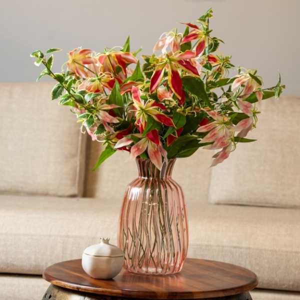 Gloriosa Flower Stem