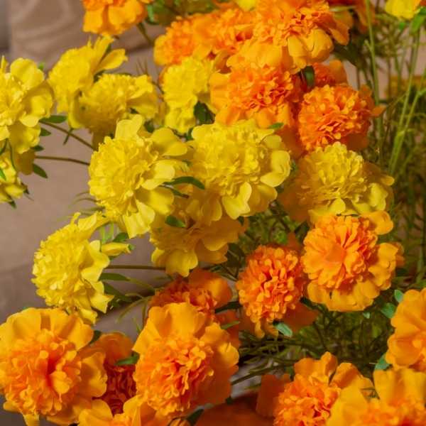 Marigold Flower Stem