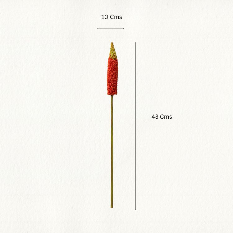 Red Celosia Flower Stem - Single