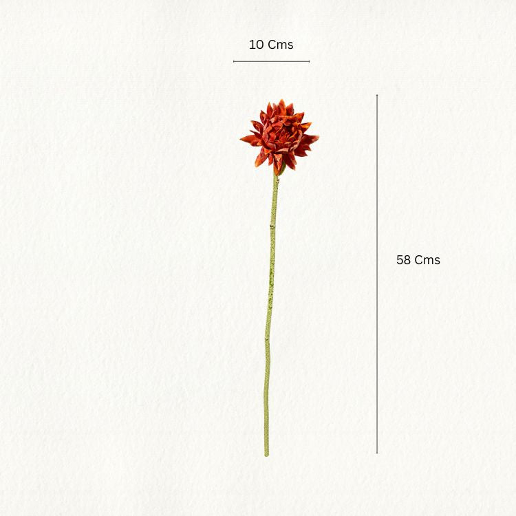 Orange Ginger Lily Flower Stem - Single