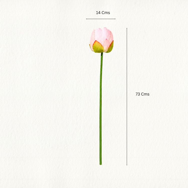 Blush Pink Lotus Flower Stem - Single