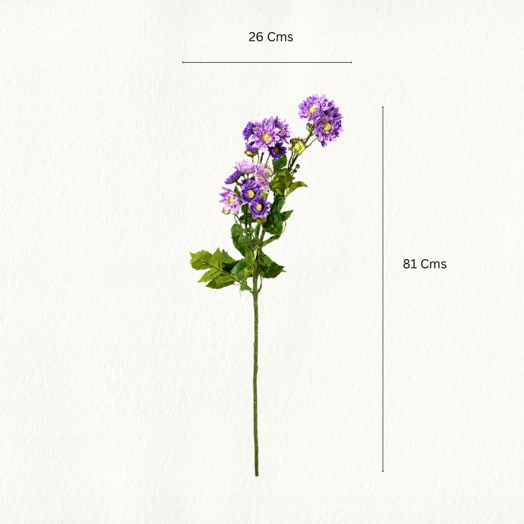 Daisy Chrysanthemum Flower Stem - Single