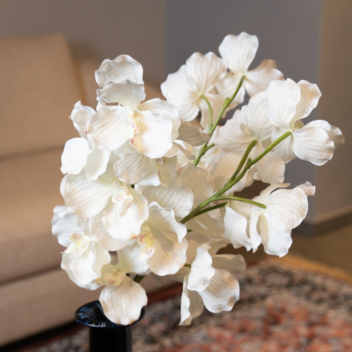 Orchid White Flower Stem