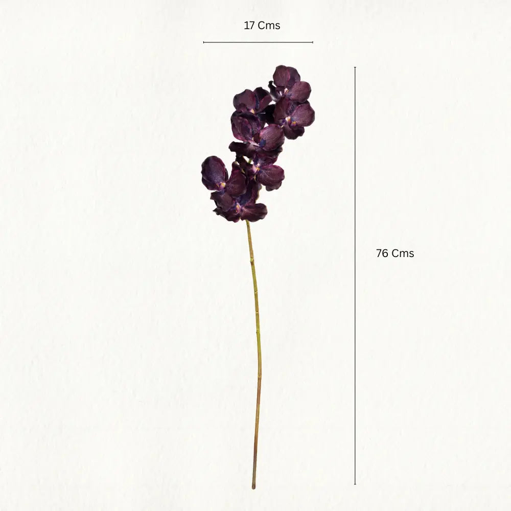 Purple Orchid Flower Stem - Single
