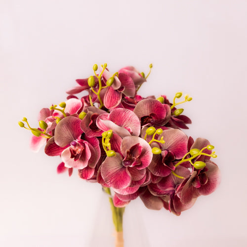 Artificial Orchids In A Bunch