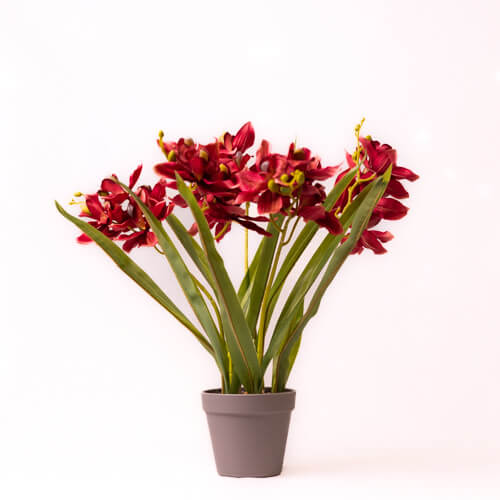 Artificial Orchid Spray In Potted Plant Deep Red