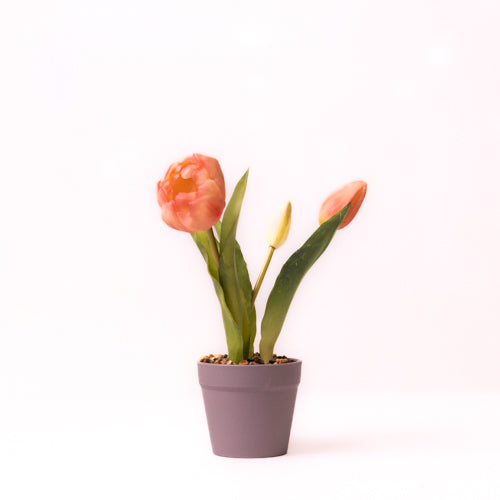 Artificial Tulips In Potted Plant