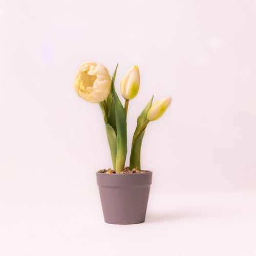 Artificial Tulips In Potted Plant