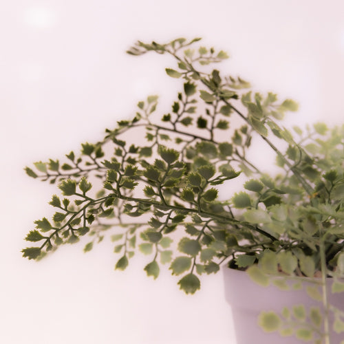 Green Small Faux Potted Plant