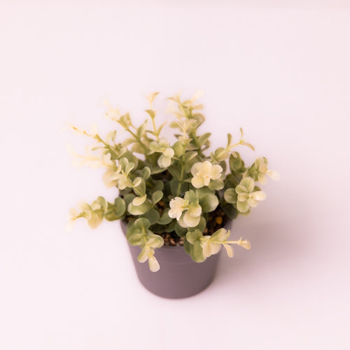 Green Clustered Faux Potted Plant
