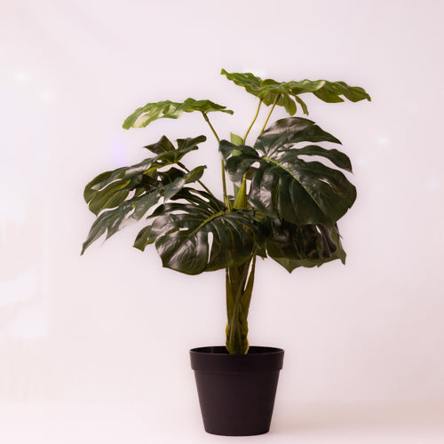 Green Faux Monstera Plant Medium