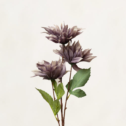 Lavender Dahlia Flower Stem