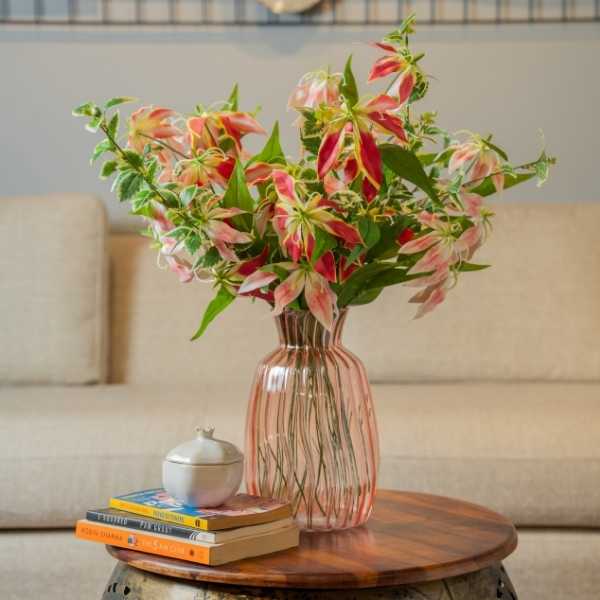 Gloriosa Flower Stem