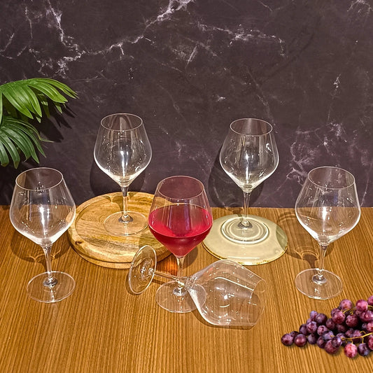 Set Of 6 Gavia Clear Red Wine Glasses