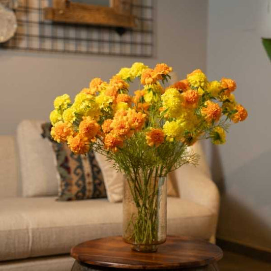 Marigold Flower Stem