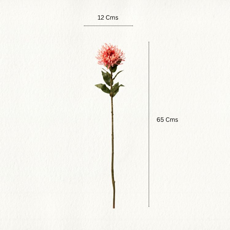 Artificial Leucospermum Flower Stems - Set of 2
