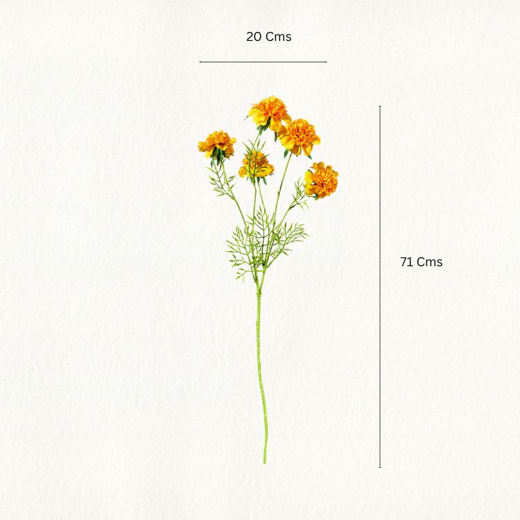 Marigold Flower Stem - Single