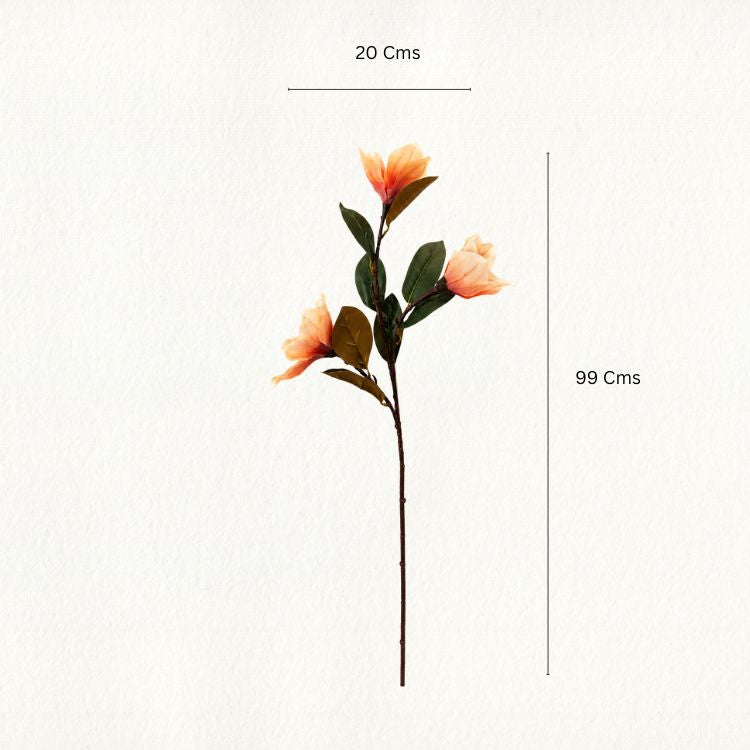 Peach Magnolia Flower Stem - Single
