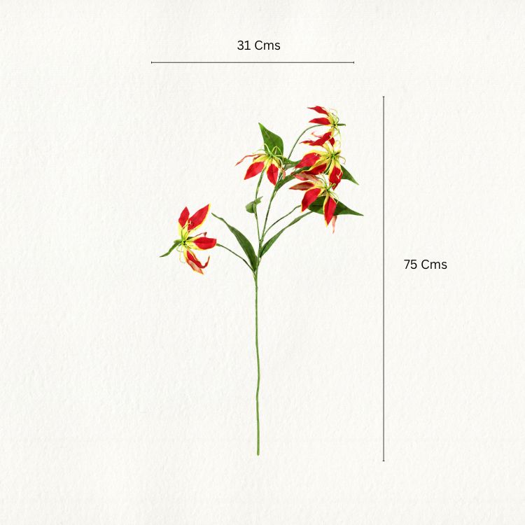 Gloriosa Flower Stem - Single
