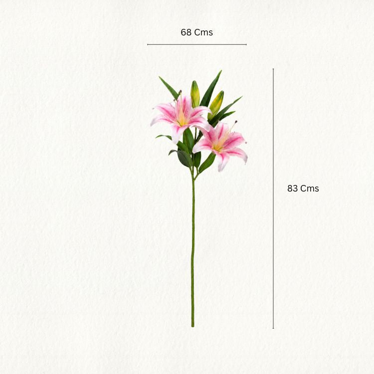 Lily Flower Stem - Single