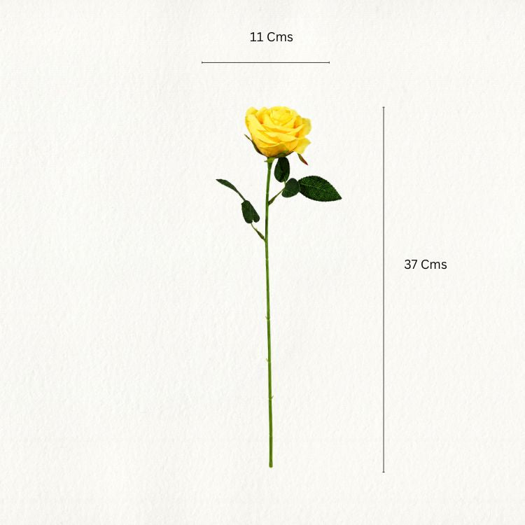 Yellow Rose Flower Stem - Single