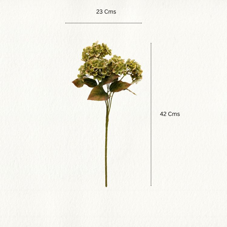 Syringa Flower Stem - Single