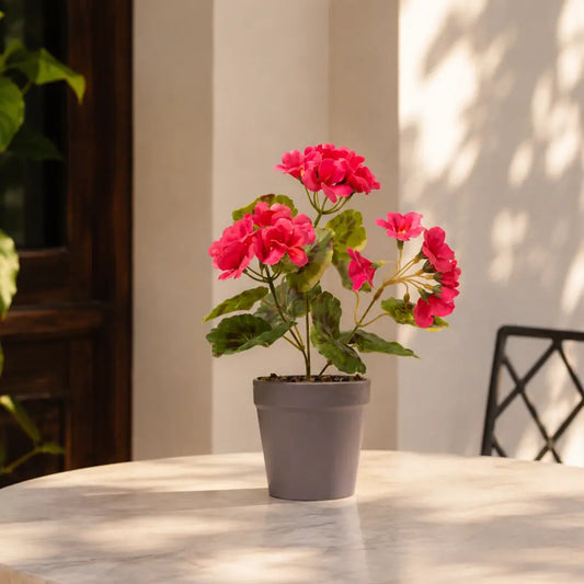 Artificial Begonia Flowers In Potted Plant