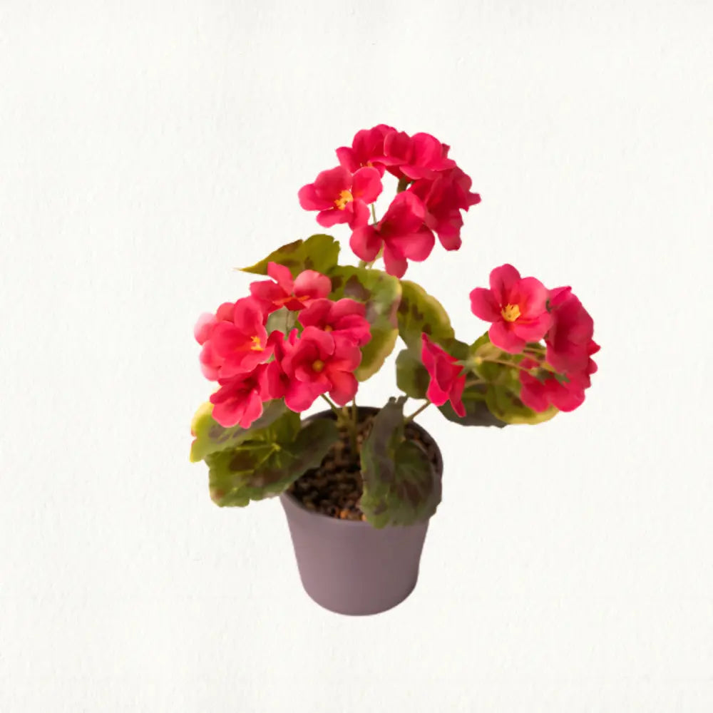 Artificial Begonia Flowers In Potted Plant close up