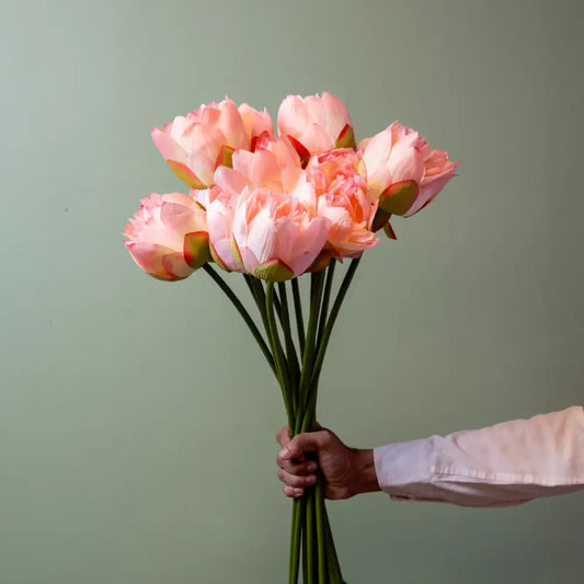 Blush Pink Lotus Flower Stem - Single