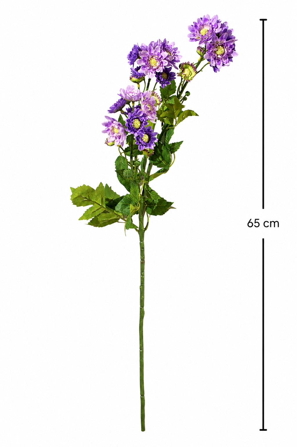 Daisy Chrysanthemum Flower Stem - Single