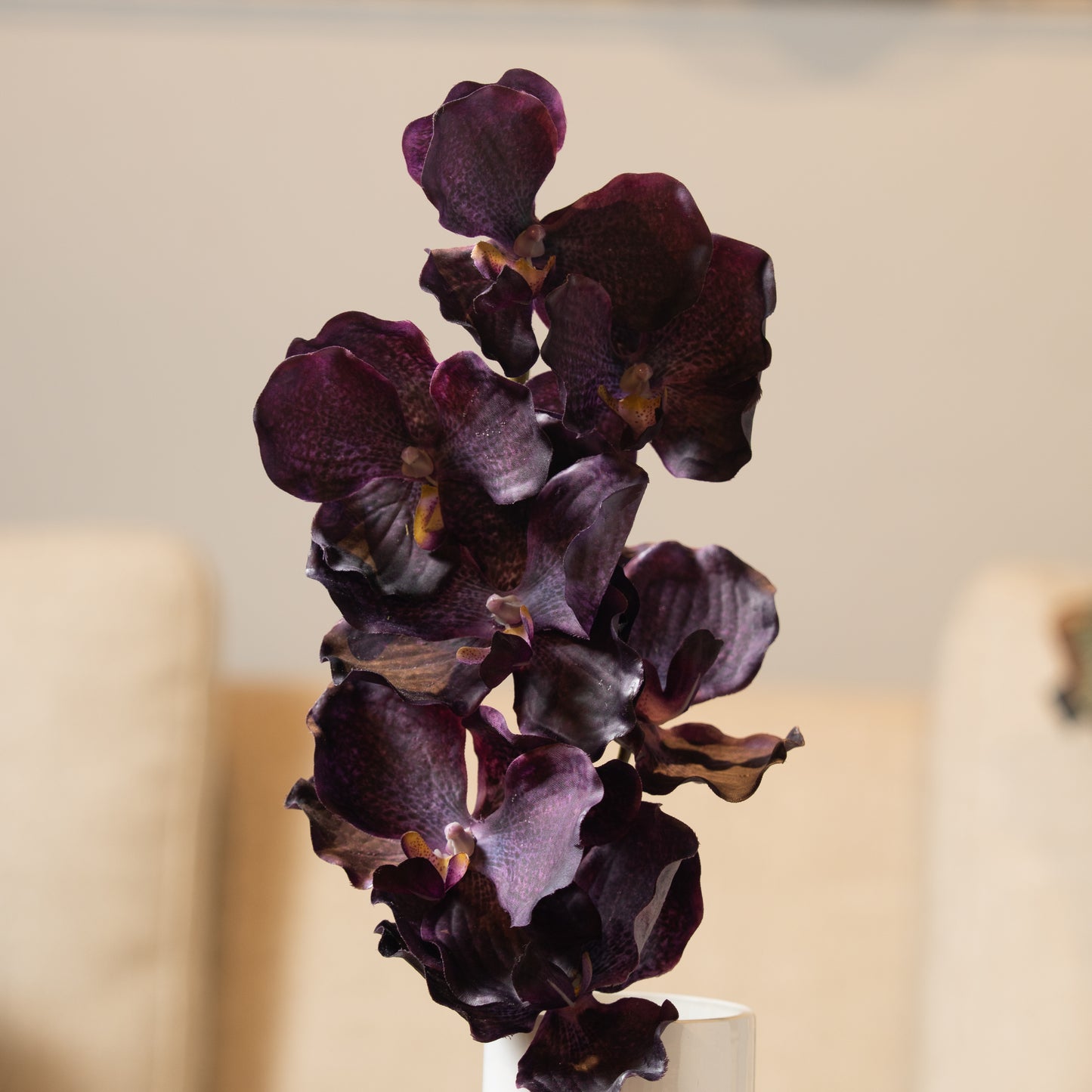 Purple Orchid Flower Stem