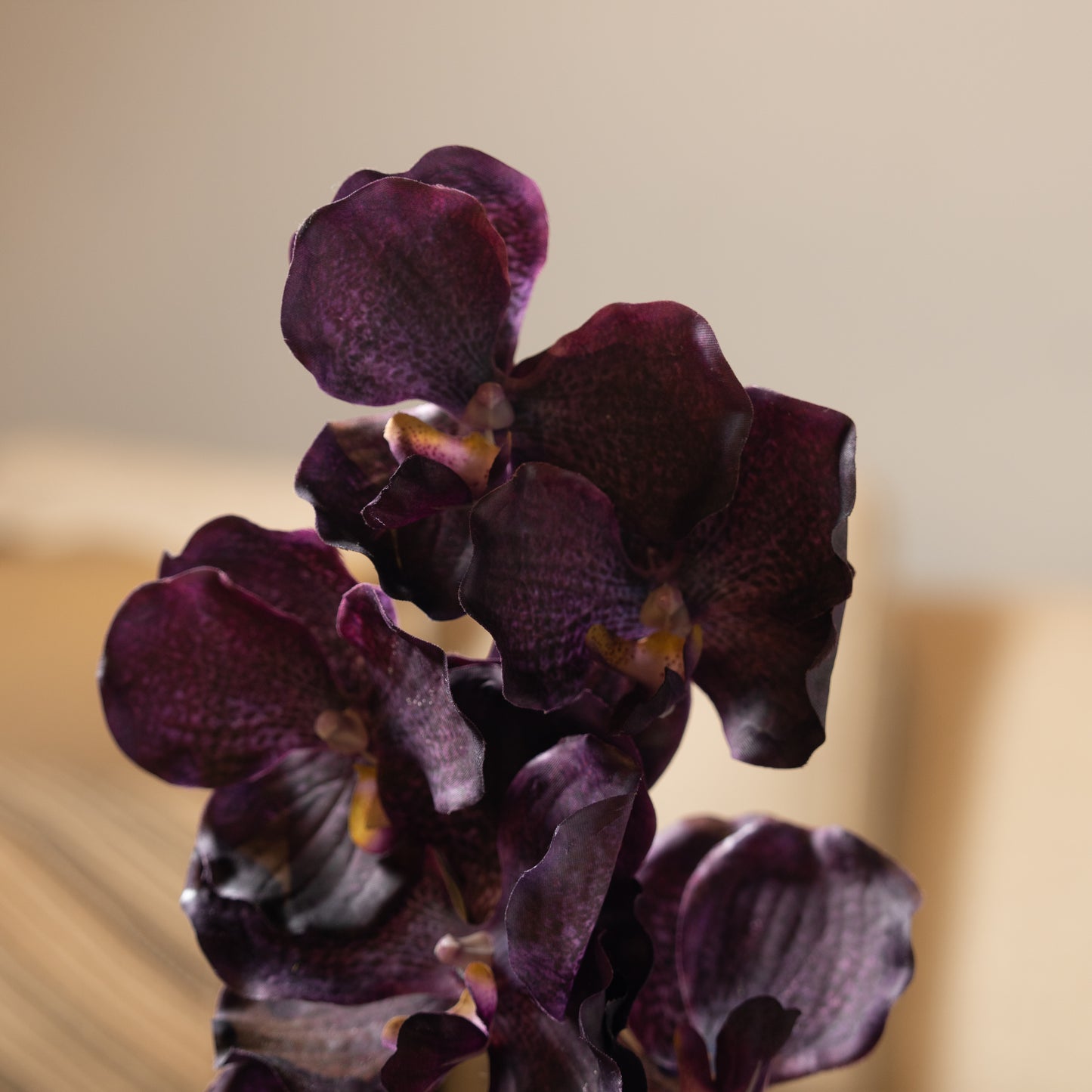 Purple Orchid Flower Stem