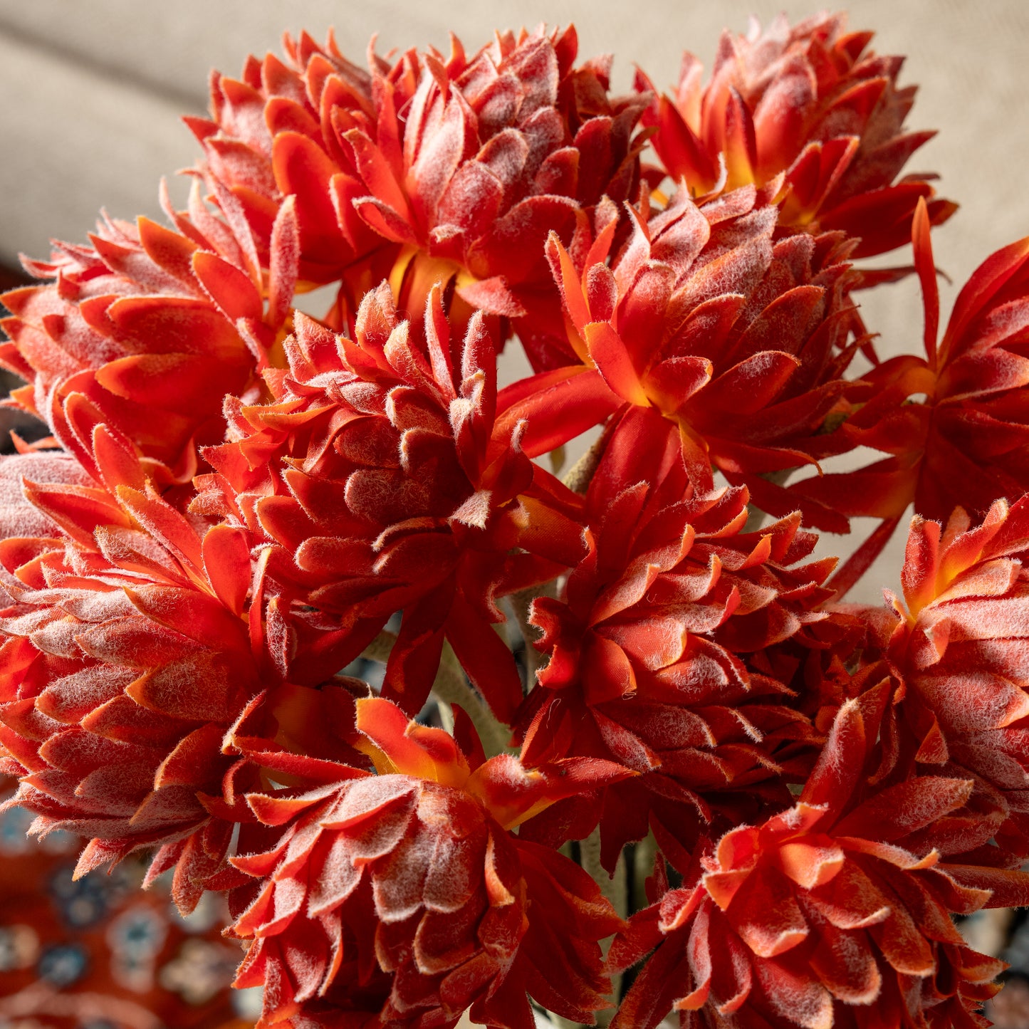 Orange Ginger Lily Flower Stem