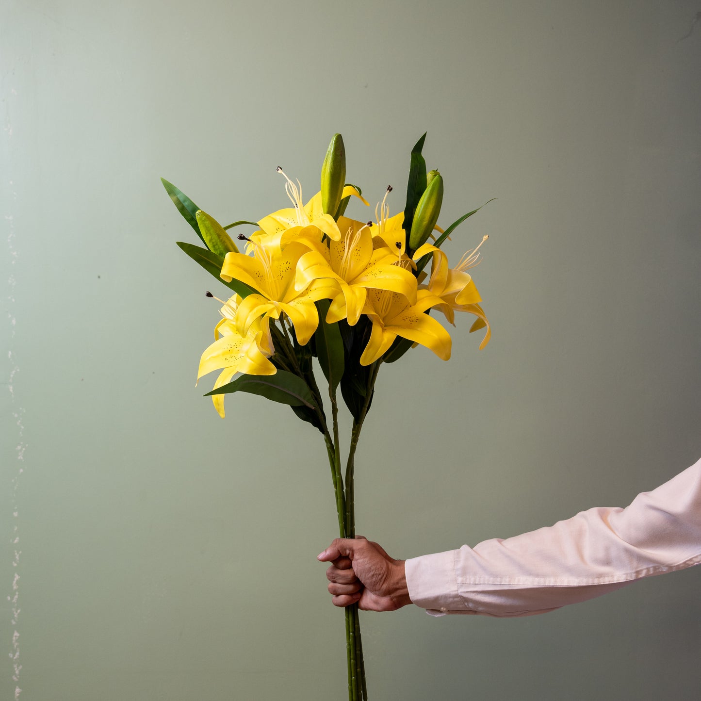 Lily Flower Stem