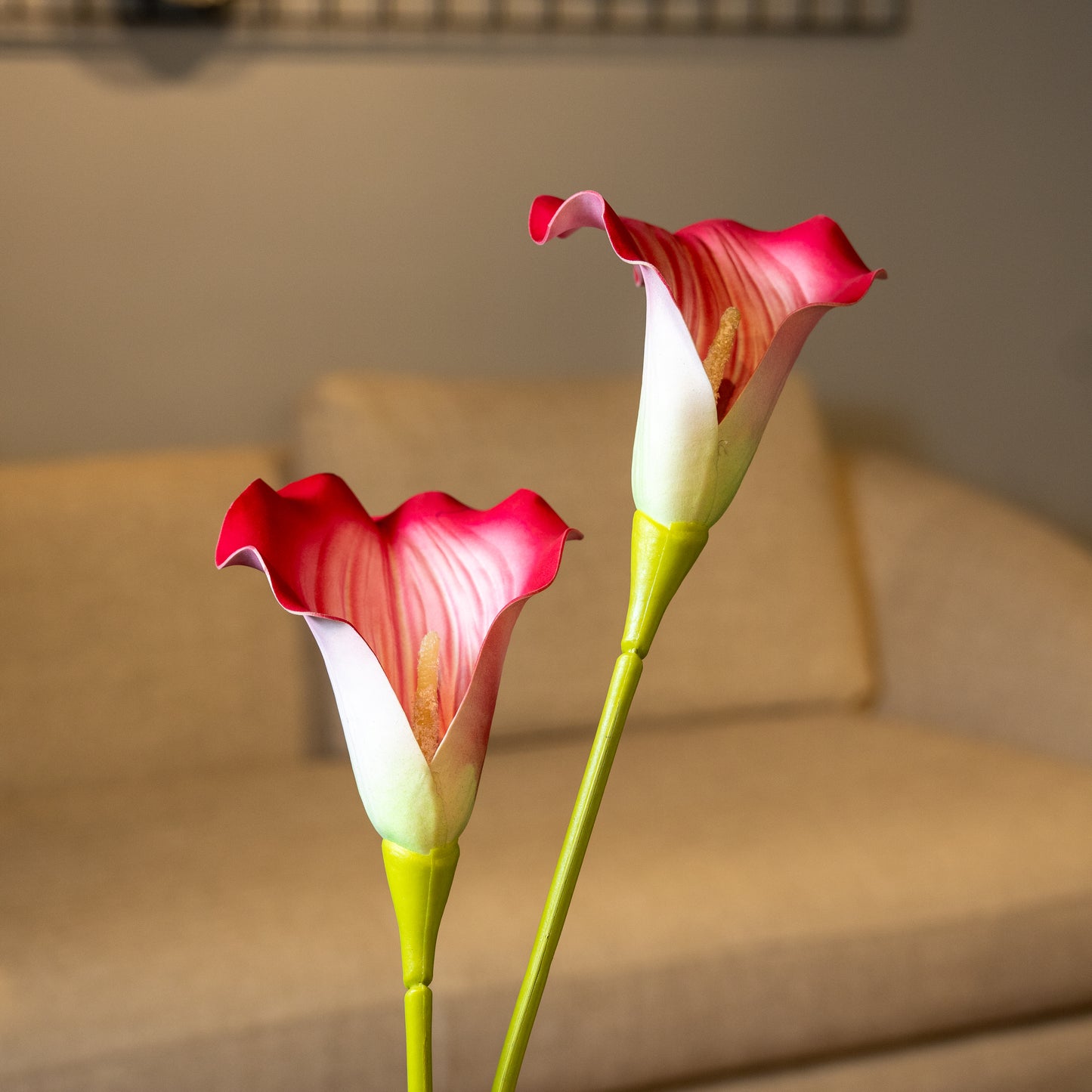 Dark Pink Caliar Lily Flower Stem