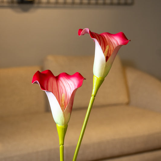 Dark Pink Caliar Lily Flower Stem