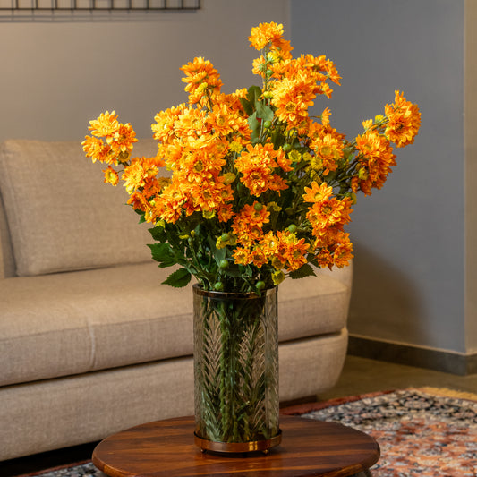 Daisy Chrysanthemum Flower Stem
