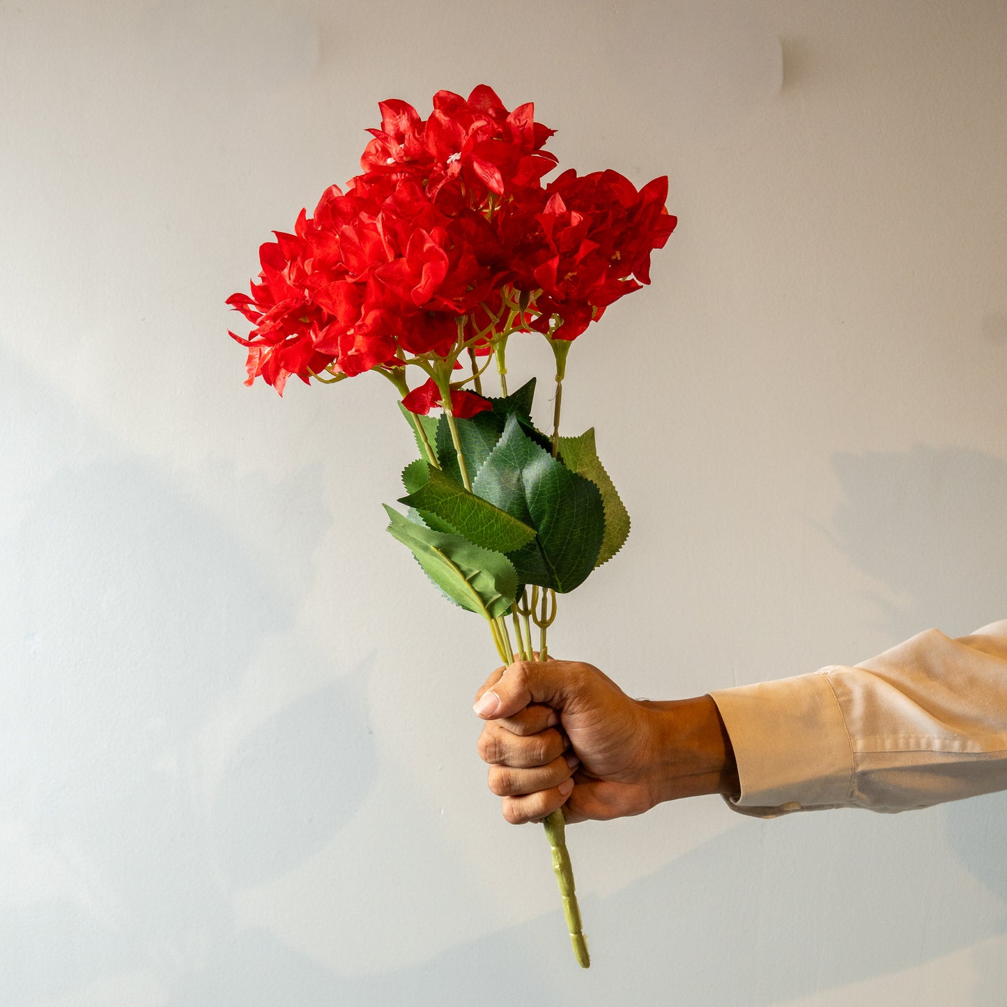 Red Hydrangea Flower Stem Red