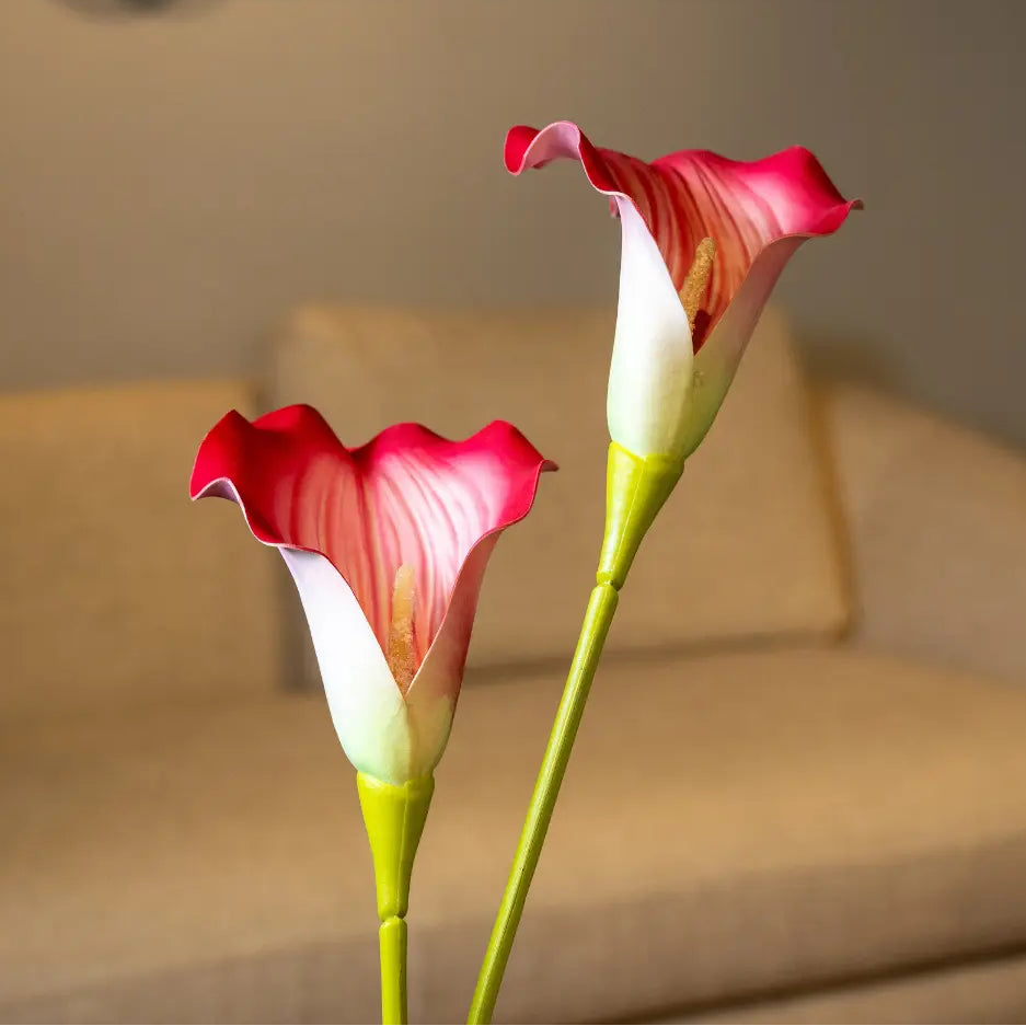Dark Pink Caliar Lily Flower Stem - Single