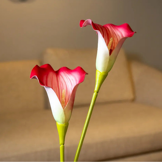 Dark Pink Caliar Lily Flower Stem - Single