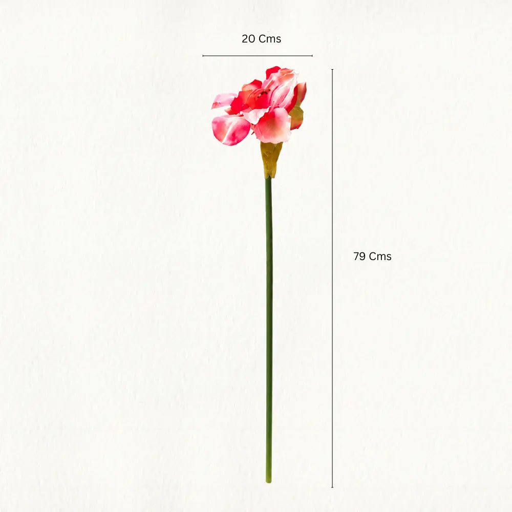 Faux Hippeastrum Flowers Length