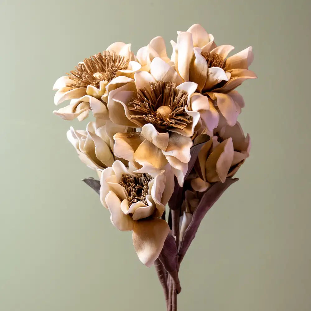 Off White Foam Flower Stem Close up