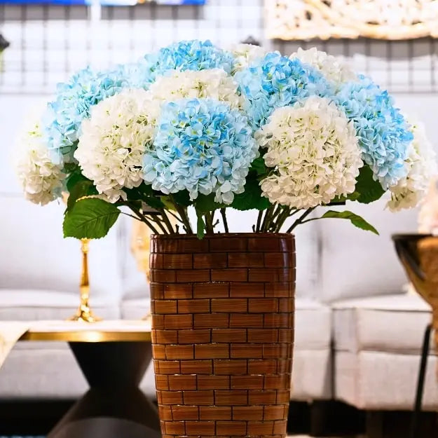 Powder Blue Jumbo Hydrangea