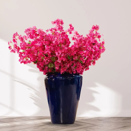 Purple Bougainvillea Stem