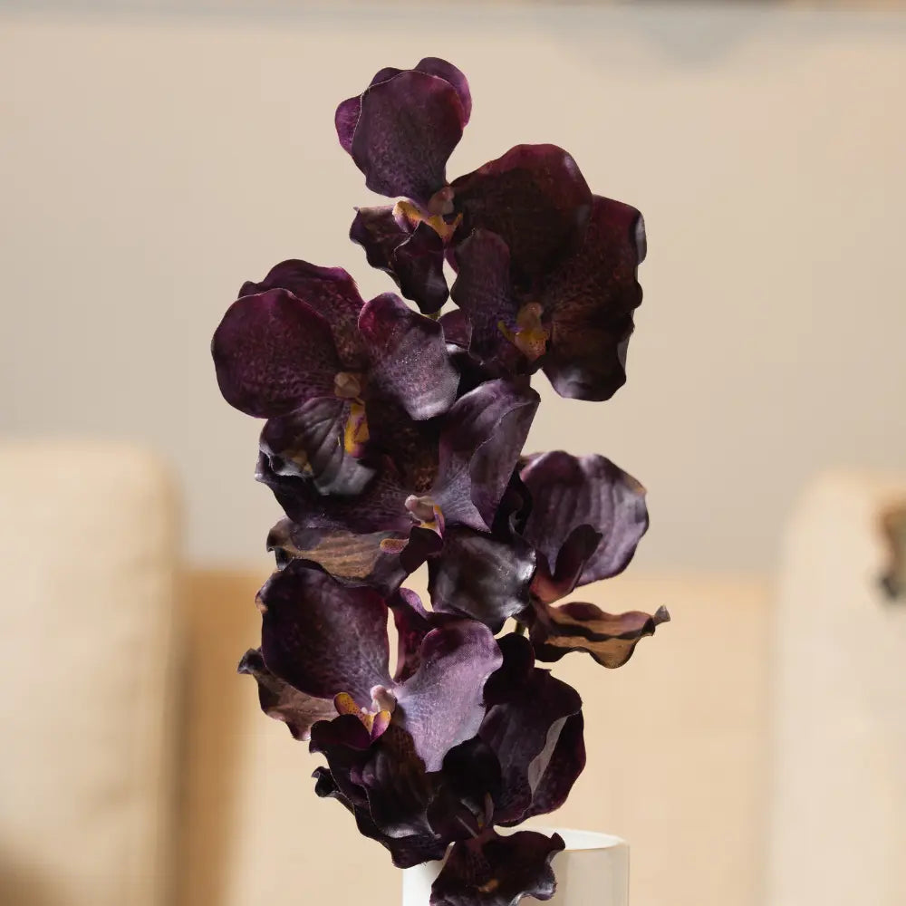 Purple Orchid Flower Stem - Single