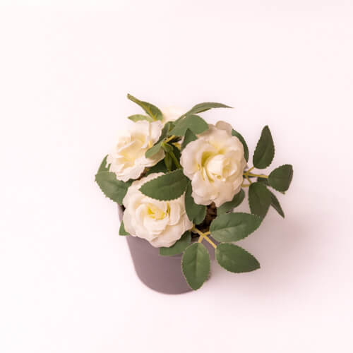 Artificial White Roses Potted Plant