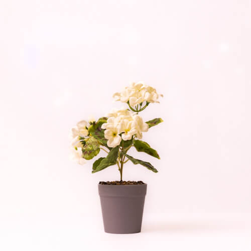 Artificial Begonia Flowers In Potted Plant