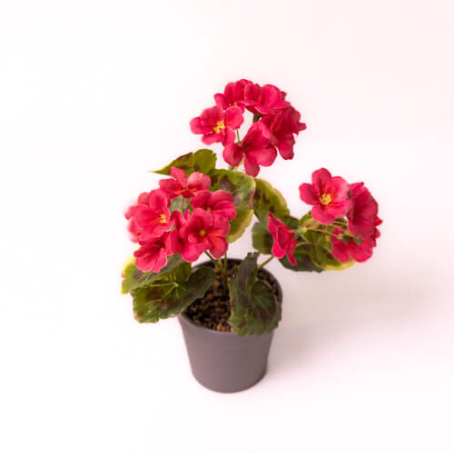 Artificial Begonia Flowers In Potted Plant Dark Pink