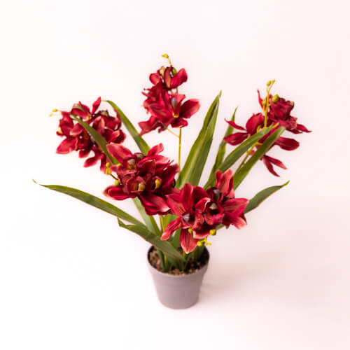 Artificial Orchid Spray In Potted Plant Deep Red