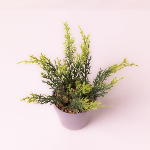 Green  Small Faux Fern In A Pot